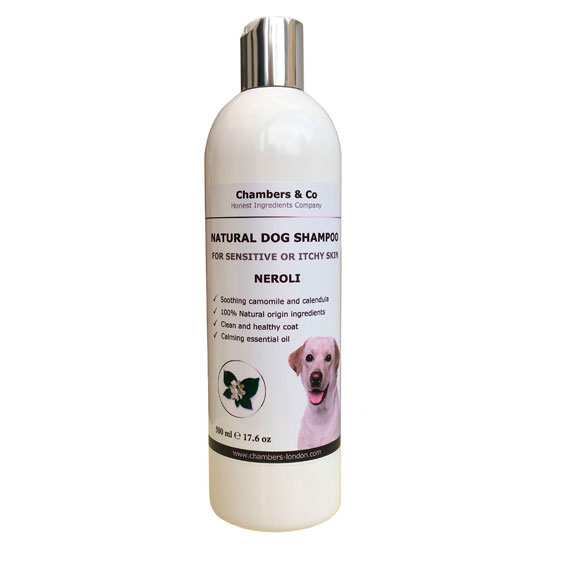 Natural Dog Shampoo for Sensitive or Itchy Skin - Chambers Natural Products
