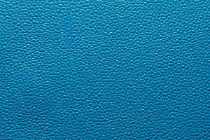 Pigmented leather example